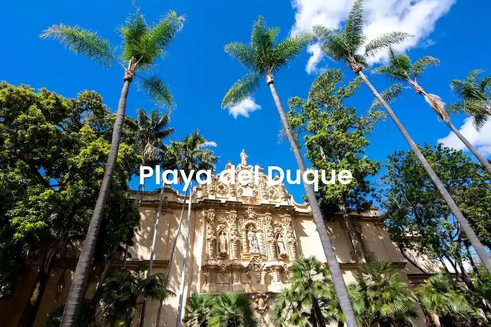 The best Airbnb in Playa Del Duque
