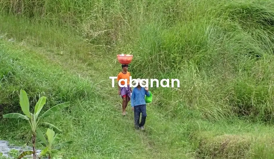 The best Airbnb in Tabanan