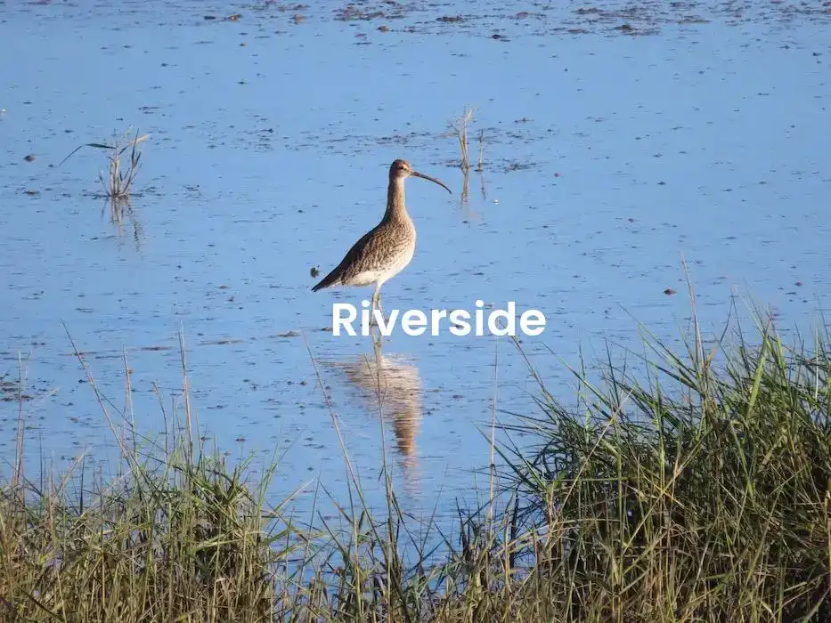 The best Airbnb in Riverside