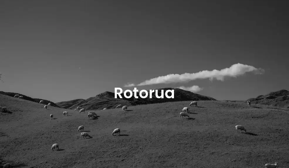 The best Airbnb in Rotorua