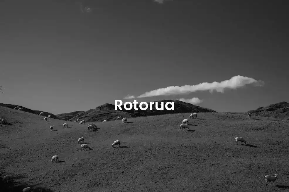 The best hotels in Rotorua