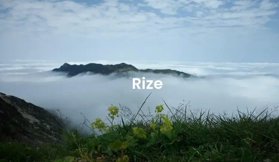 The best hotels in Rize