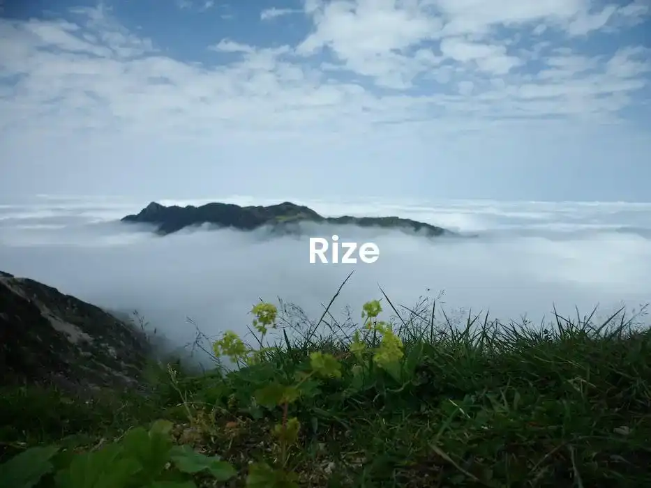 The best hotels in Rize