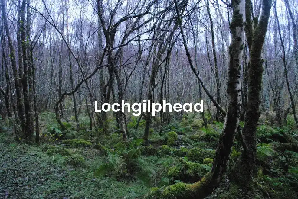 The best Airbnb in Lochgilphead