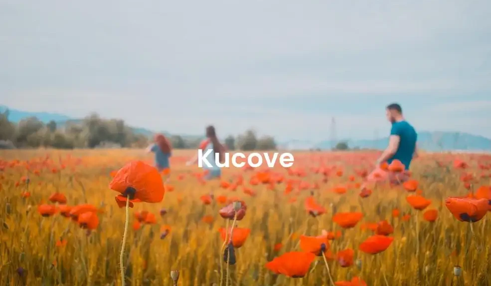 The best Airbnb in Kucove