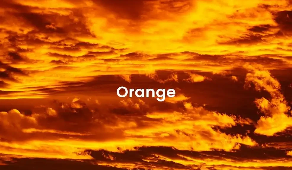 The best Airbnb in Orange