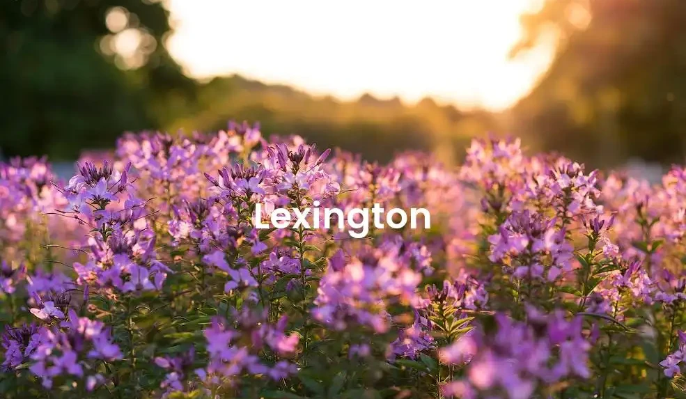 The best hotels in Lexington