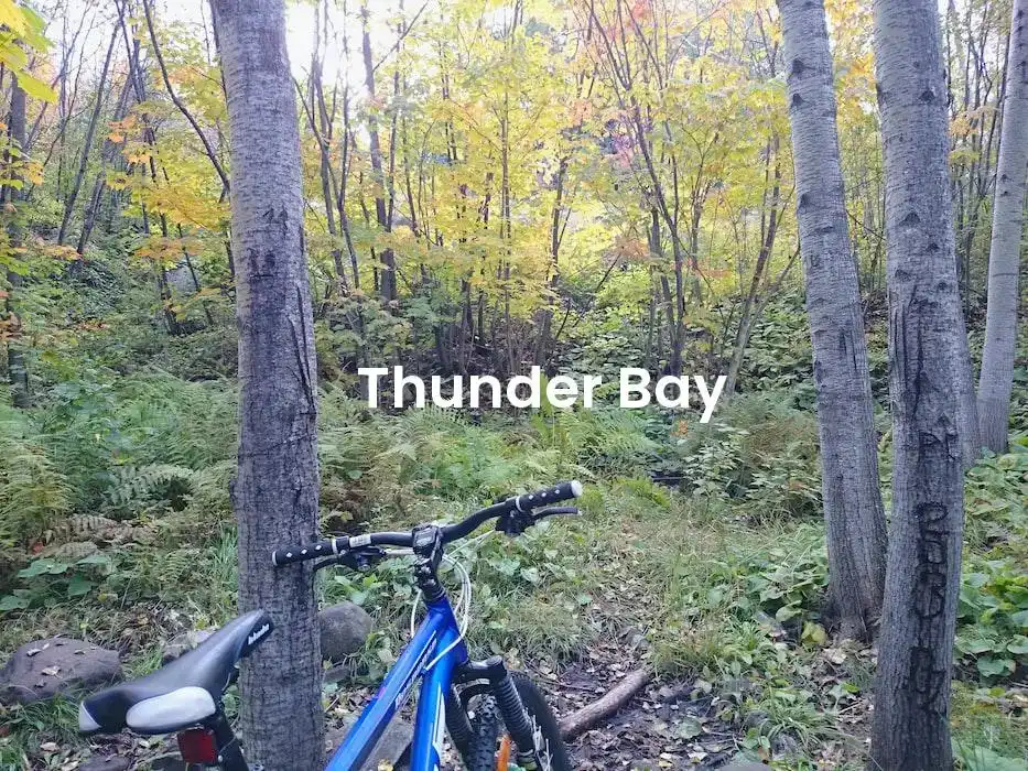 The best Airbnb in Thunder Bay