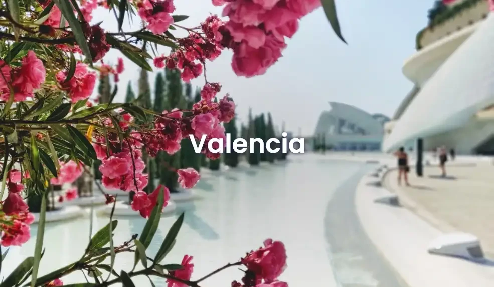 The best Airbnb in Valencia