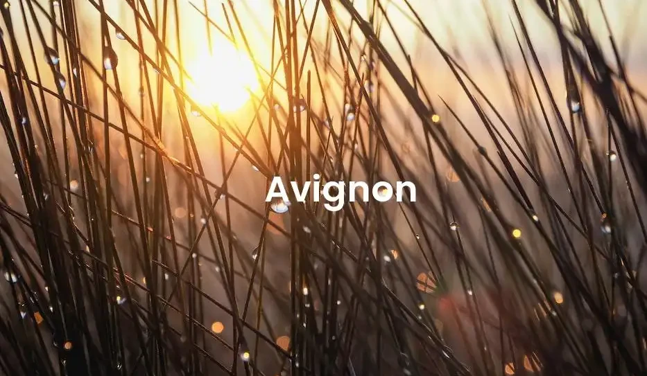 The best Airbnb in Avignon