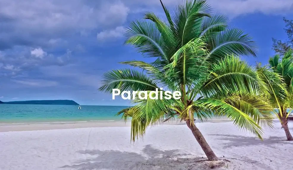 The best Airbnb in Paradise