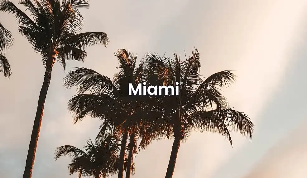 The best Airbnb in Miami
