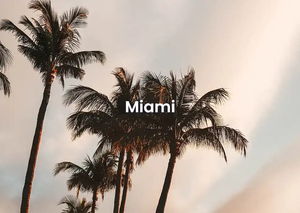 The best Airbnb in Miami