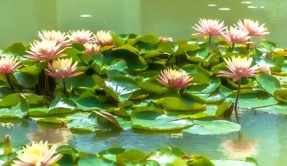 The best Airbnb in Padua