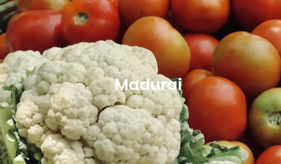 The best Airbnb in Madurai