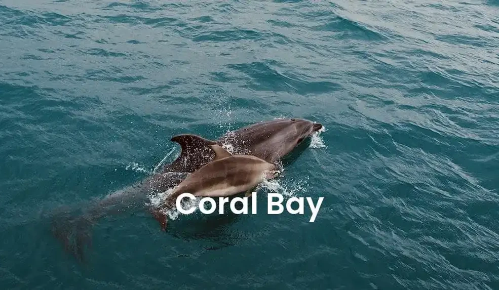 The best Airbnb in Coral Bay