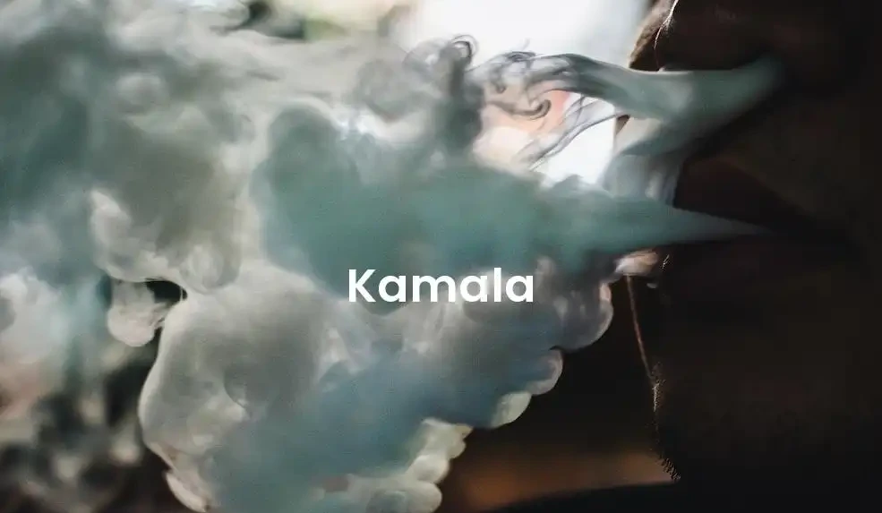 The best Airbnb in Kamala