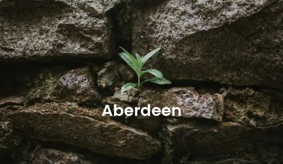 The best Airbnb in Aberdeen