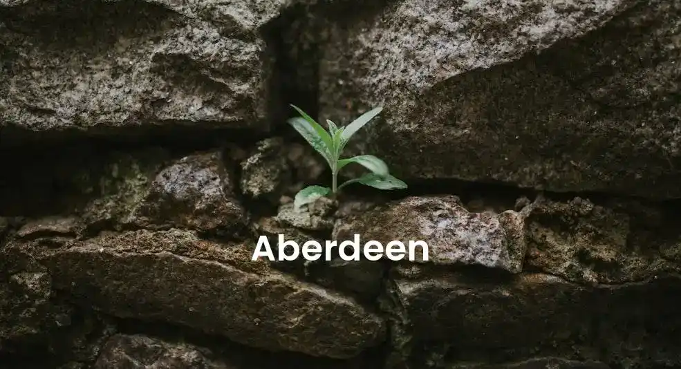 The best VRBO in Aberdeen