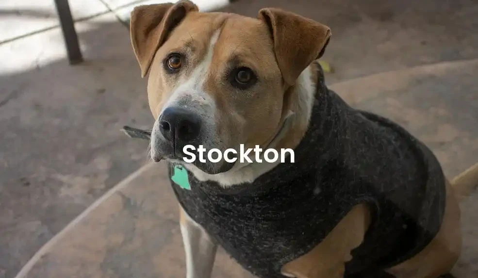 The best Airbnb in Stockton