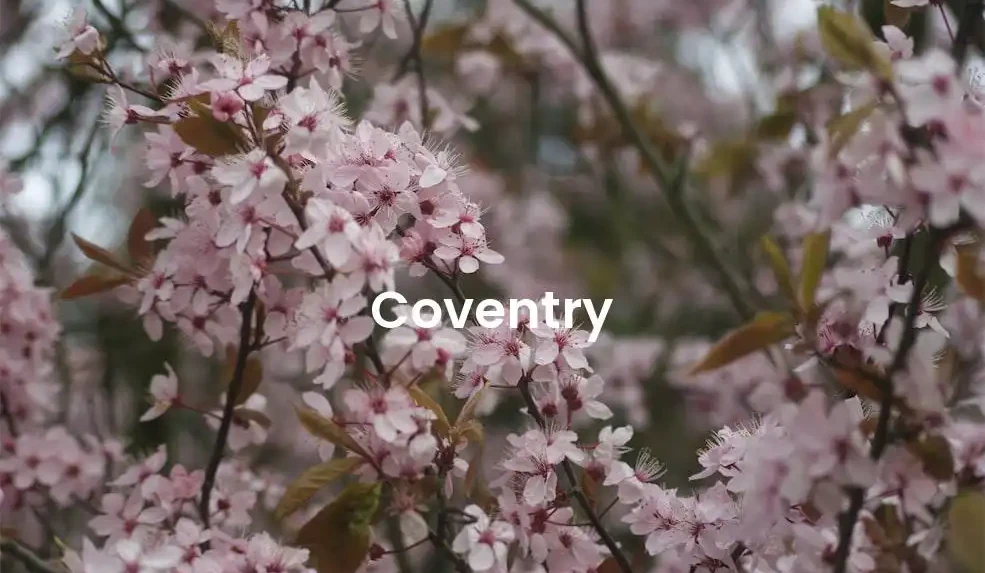 The best Airbnb in Coventry