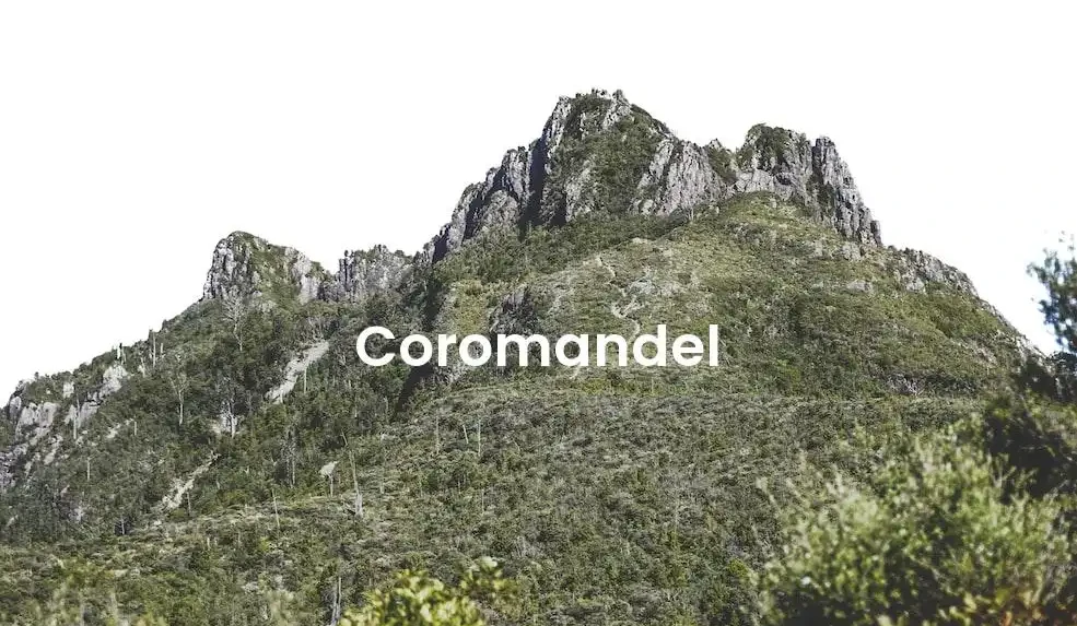 The best hotels in Coromandel