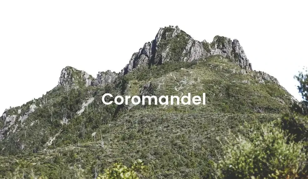 The best Airbnb in Coromandel