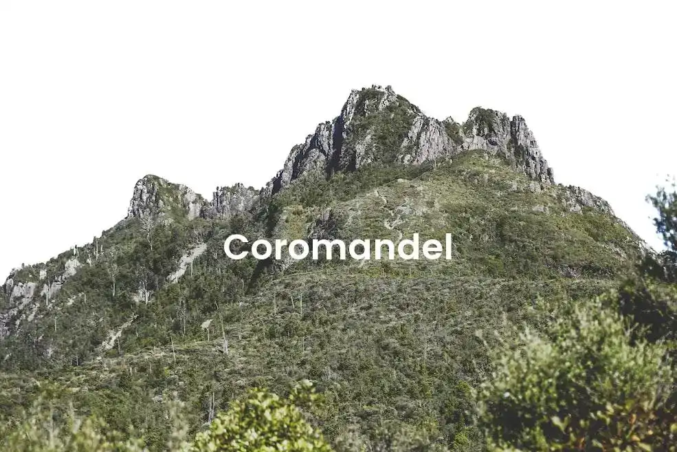 The best Airbnb in Coromandel