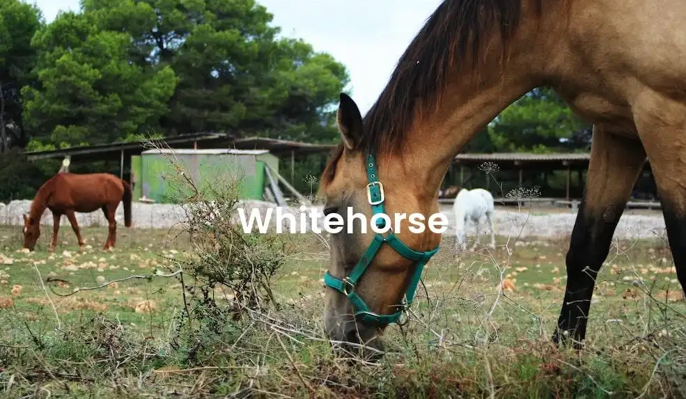 The best VRBO in Whitehorse