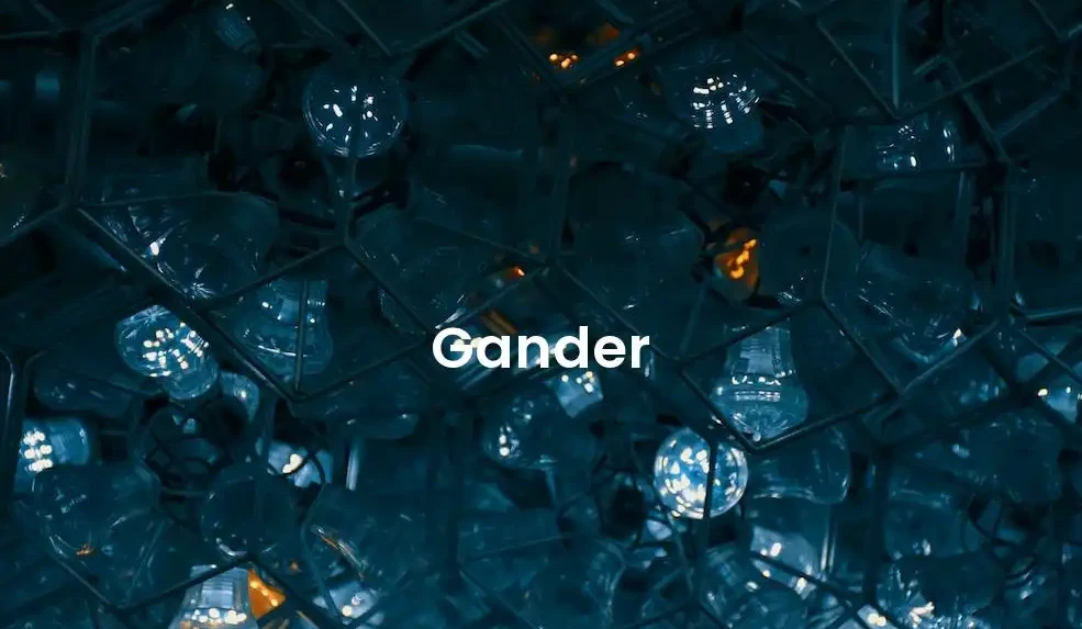 The best Airbnb in Gander