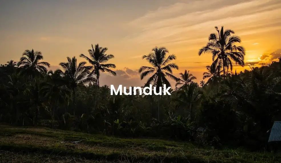 The best hotels in Munduk