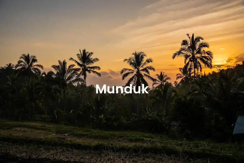 The best hotels in Munduk