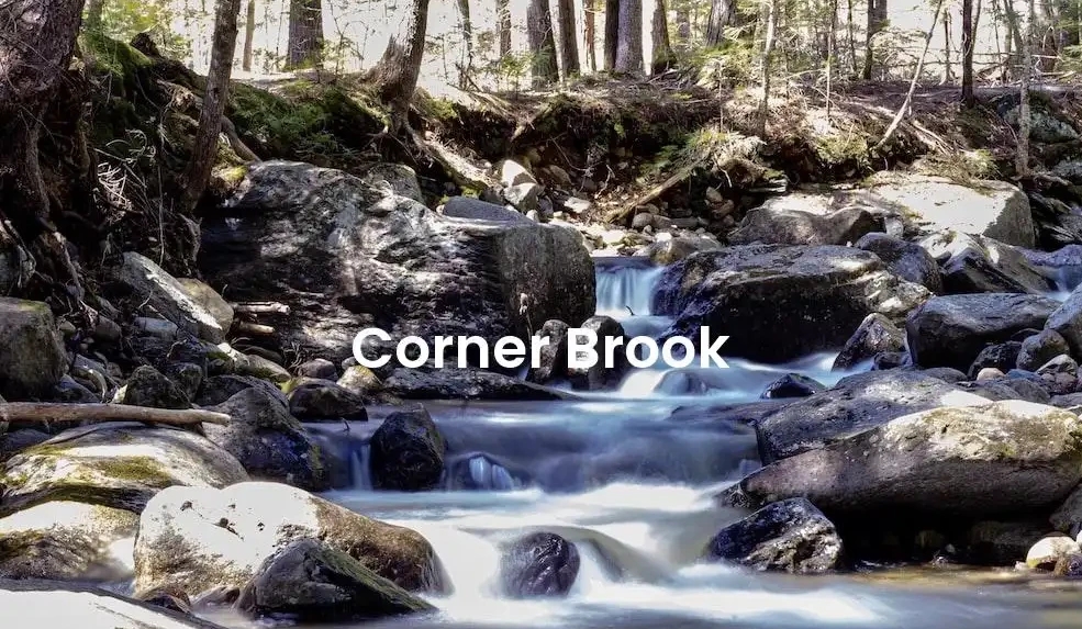 The best hotels in Corner Brook