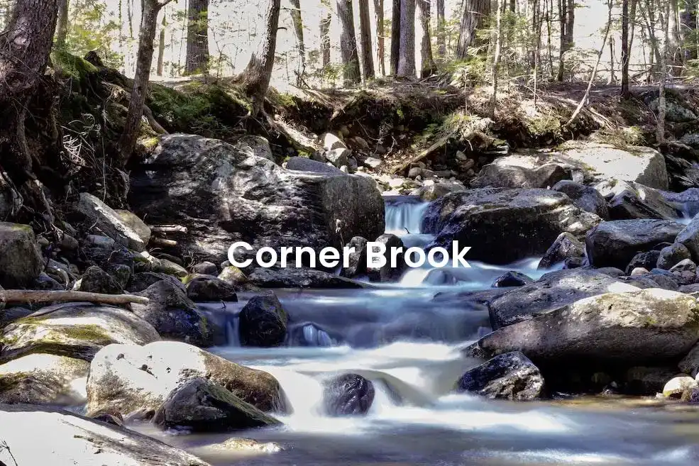 The best Airbnb in Corner Brook