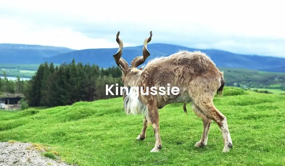 The best Airbnb in Kingussie