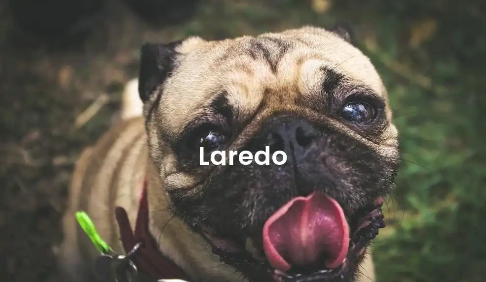 The best Airbnb in Laredo