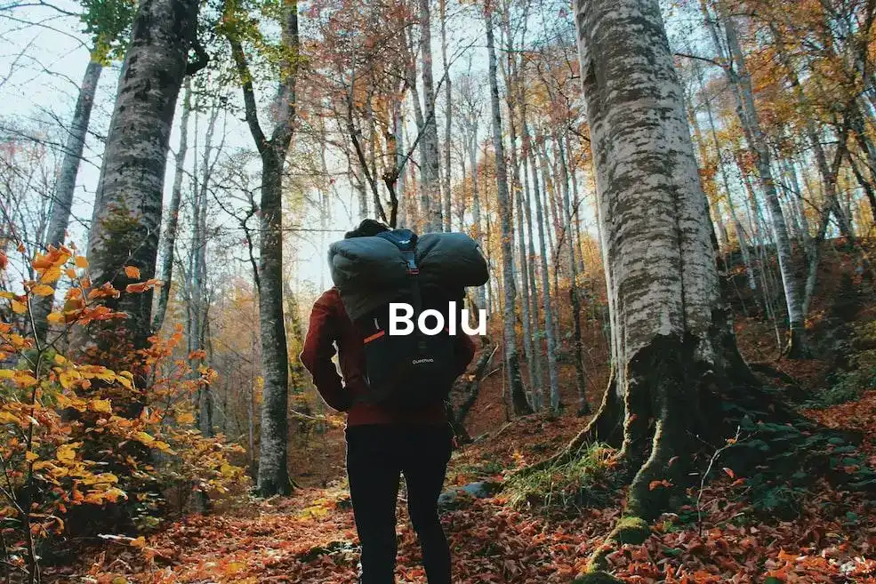 The best Airbnb in Bolu