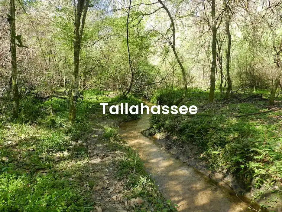 The best Airbnb in Tallahassee