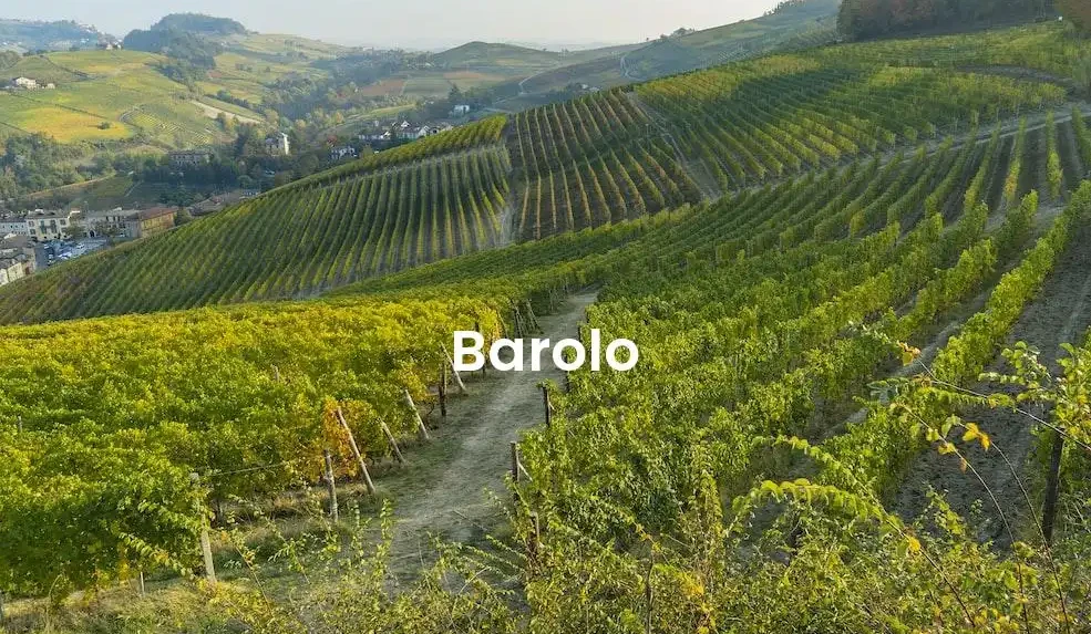 The best Airbnb in Barolo
