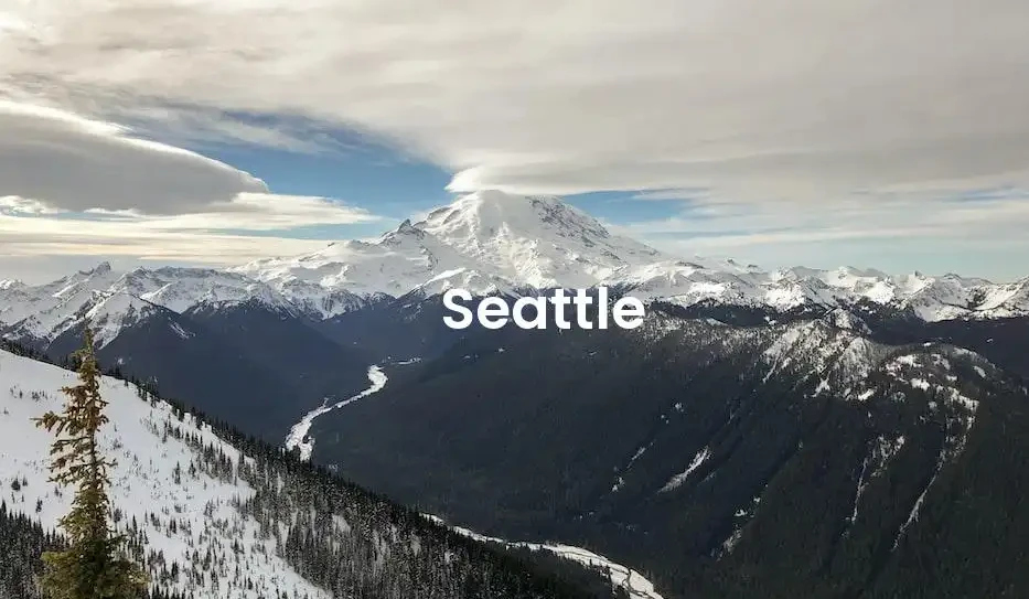 The best Airbnb in Seattle