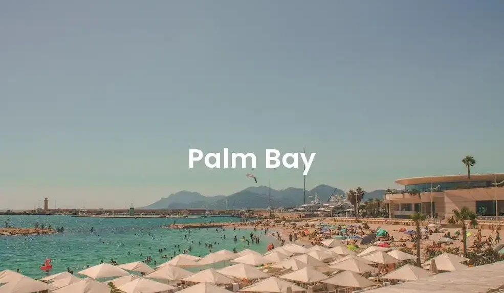 The best Airbnb in Palm Bay