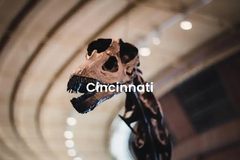 The best Airbnb in Cincinnati