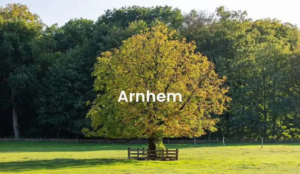 The best Airbnb in Arnhem