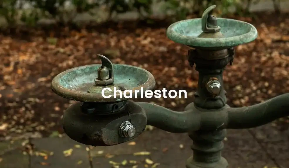 The best Airbnb in Charleston