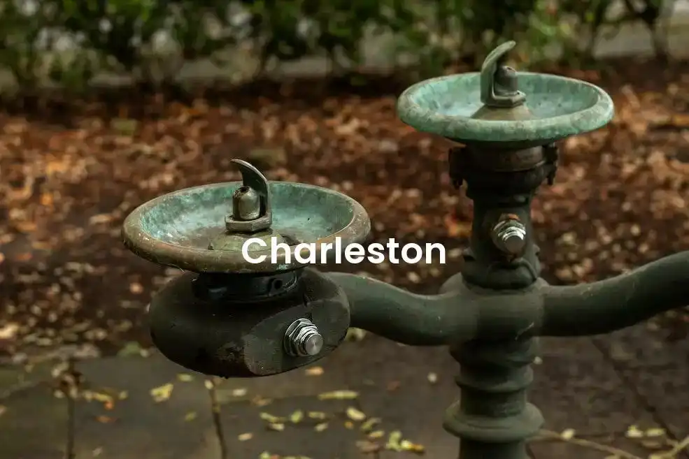 The best Airbnb in Charleston