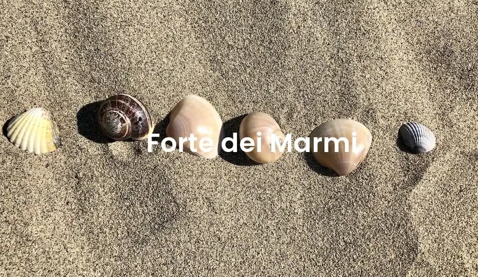The best hotels in Forte Dei Marmi
