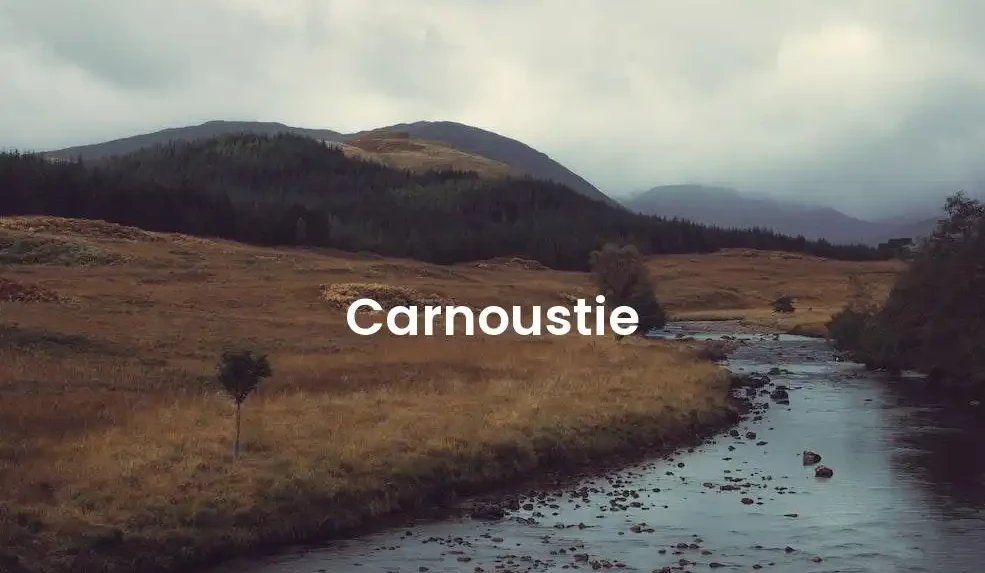 The best Airbnb in Carnoustie
