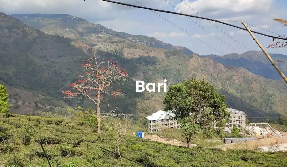 The best Airbnb in Bari