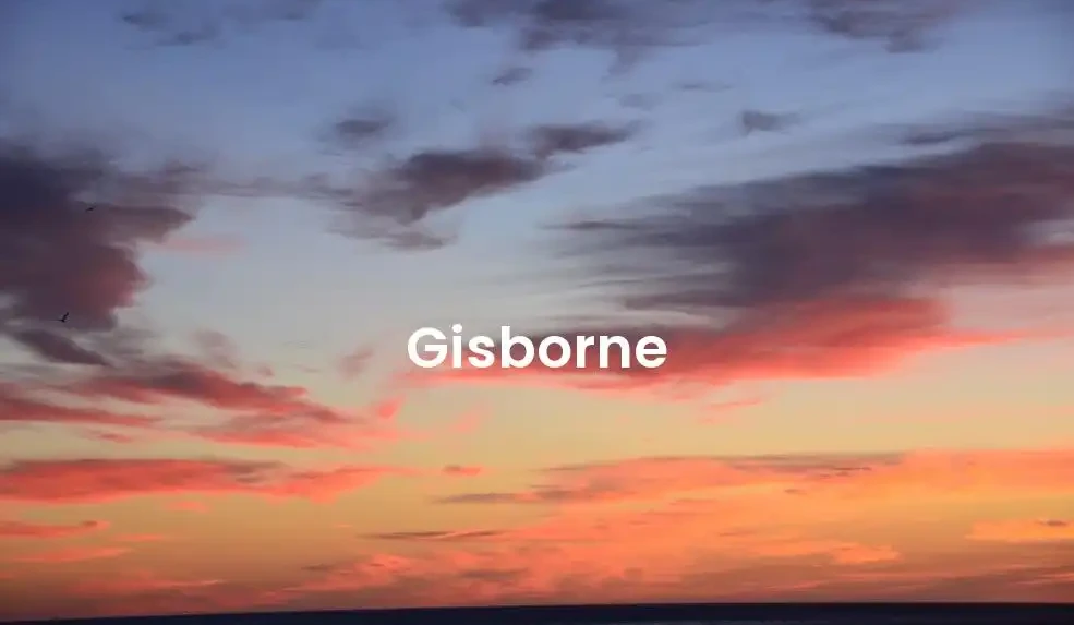 The best Airbnb in Gisborne