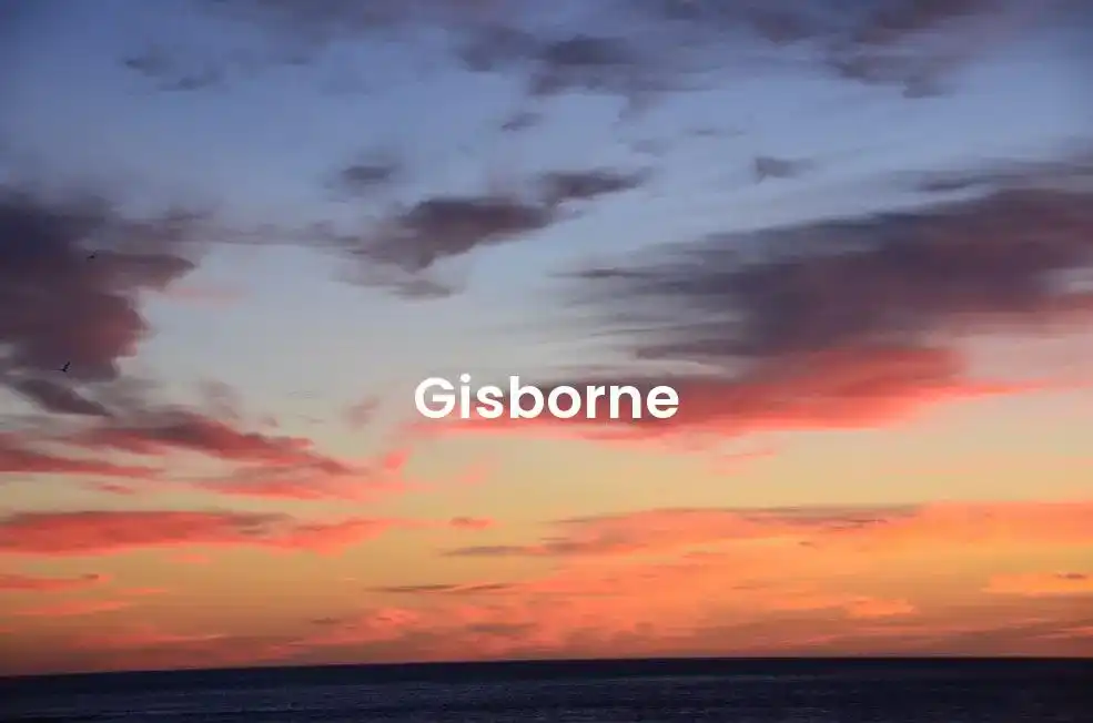 The best Airbnb in Gisborne